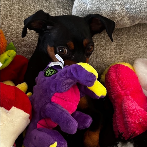 Meet your Posher, Regina - Picture 7 of 10